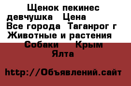 Щенок пекинес девчушка › Цена ­ 2 500 - Все города, Таганрог г. Животные и растения » Собаки   . Крым,Ялта